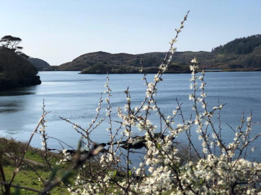 Lough Hyne Cottage Skibbereen Zewnętrze zdjęcie